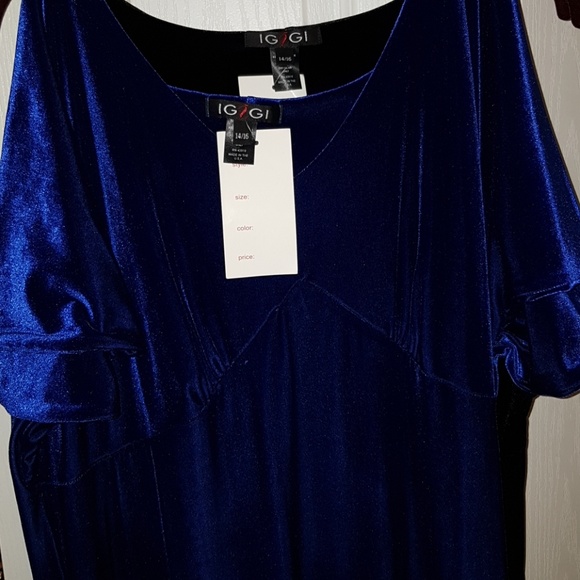 🚫SOLD🚫 Igigi Crown Velvet Gown Dress 14/16 - Picture 8 of 8